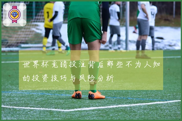 世界杯竞猜投注背后那些不为人知的投资技巧与风险分析