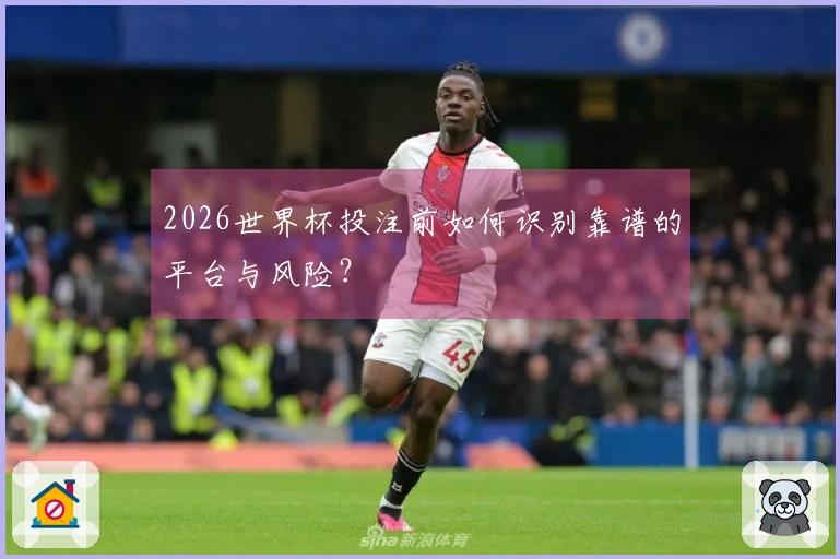 2026世界杯投注前如何识别靠谱的平台与风险？