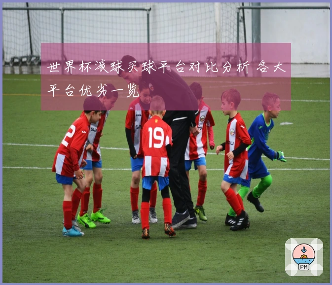 世界杯滚球买球平台对比分析 各大平台优劣一览