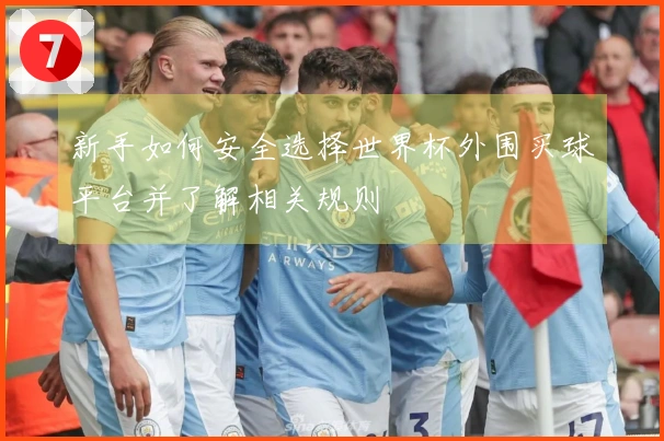 新手如何安全选择世界杯外围买球平台并了解相关规则