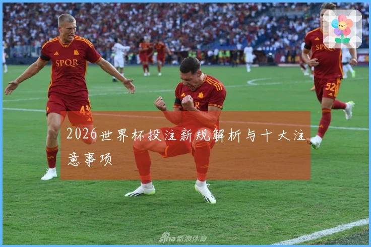 2026世界杯投注新规解析与十大注意事项