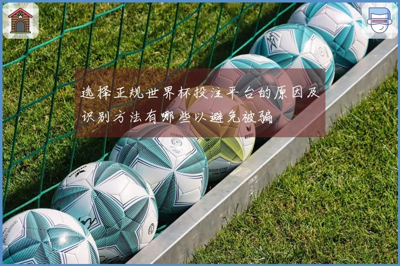 选择正规世界杯投注平台的原因及识别方法有哪些以避免被骗